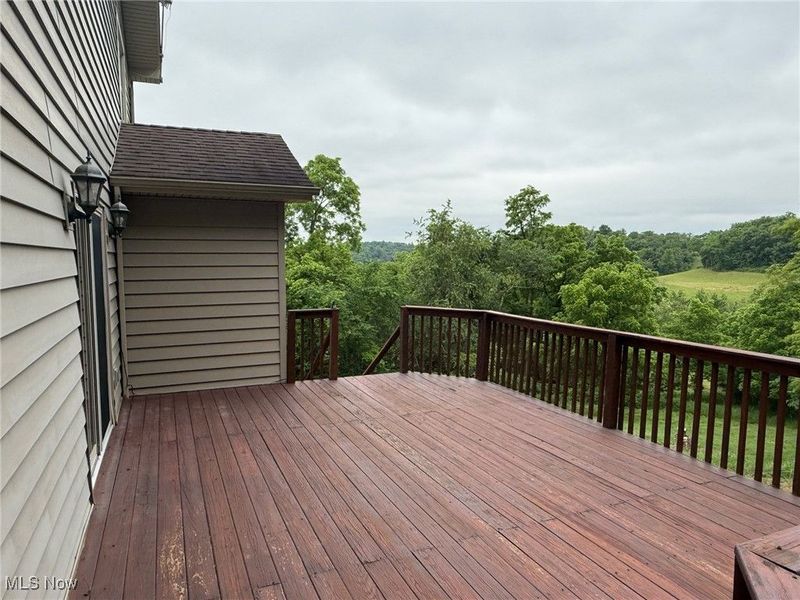 2484 Township Road 262, Bergholz, OH 43908 Photo 24