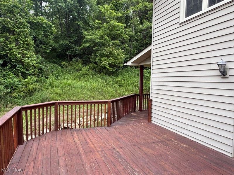 2484 Township Road 262, Bergholz, OH 43908 Photo 25