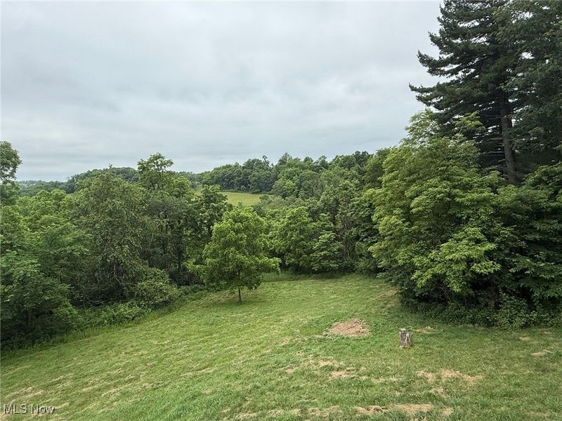 2484 Township Road 262, Bergholz, OH 43908 Photo 26