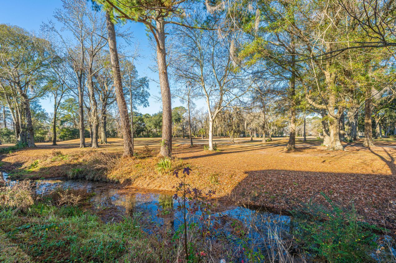 47 Wolk Drive Photo 30