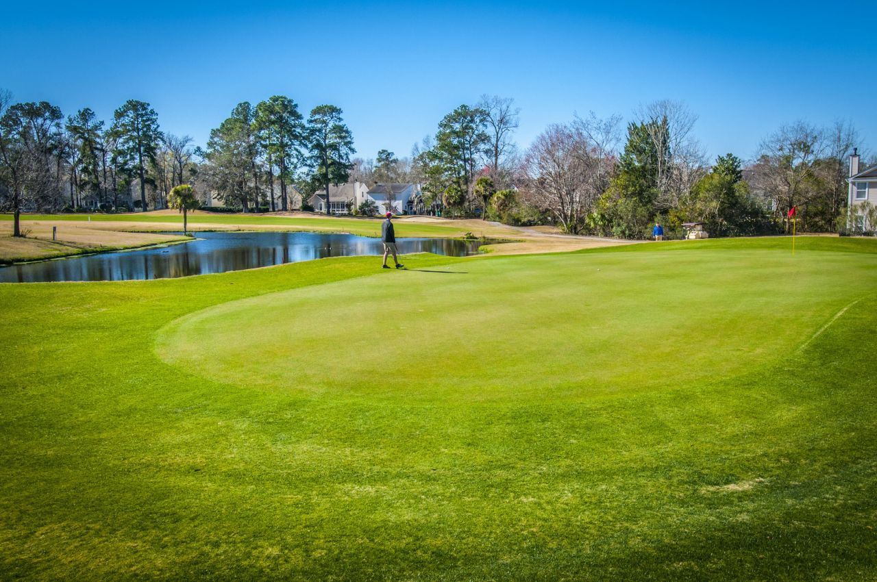 47 Wolk Drive Photo 40