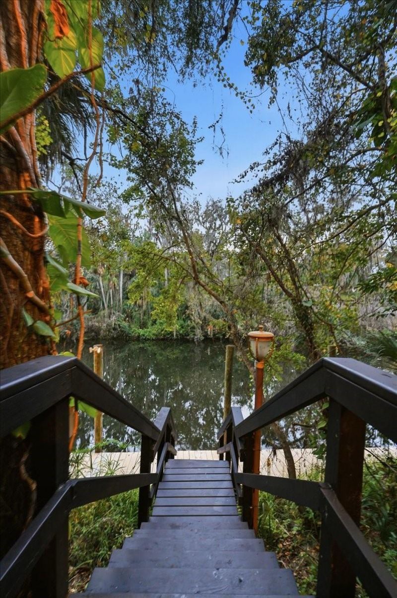 4703 Rambling River Road, Brandon, FL 33511 Photo