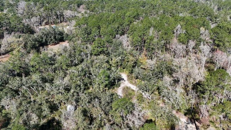 Se 68th Terrace, White Springs, FL 32096 Photo