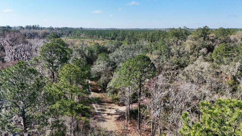 Se 68th Terrace, White Springs, FL 32096 Photo