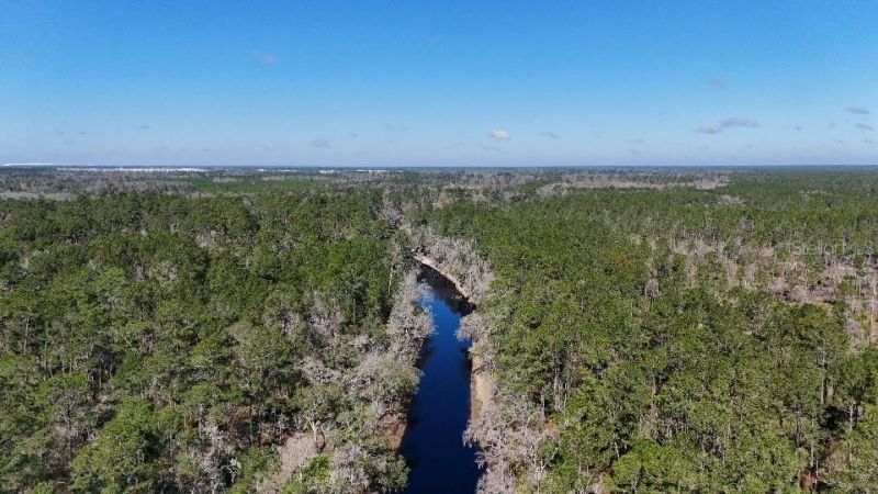 Se 68th Terrace, White Springs, FL 32096 Photo