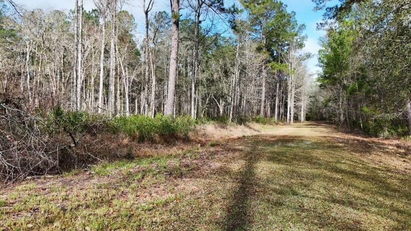 Se 68th Terrace, White Springs, FL 32096 Photo