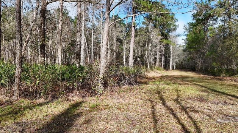 Se 68th Terrace, White Springs, FL 32096 Photo