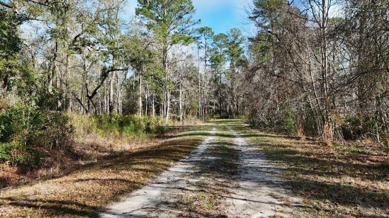 Se 68th Terrace, White Springs, FL 32096 Photo