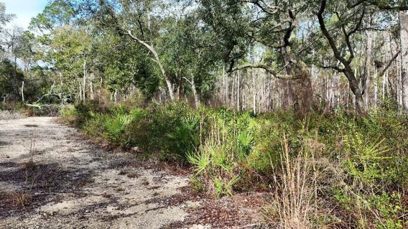 Se 68th Terrace, White Springs, FL 32096 Photo