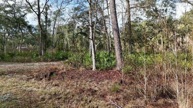 Se 68th Terrace, White Springs, FL 32096 Photo