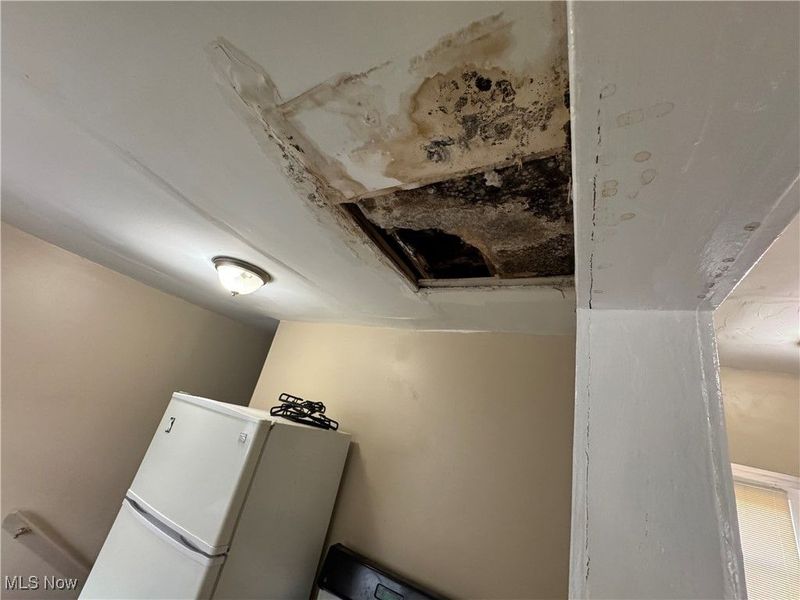 520 Ardella Avenue, Akron, OH 44306 Photo 28