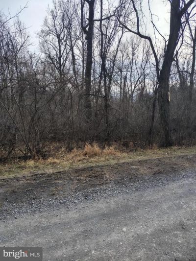 SUMMIT POINT DRIVE, FRONT ROYAL, VA 22630