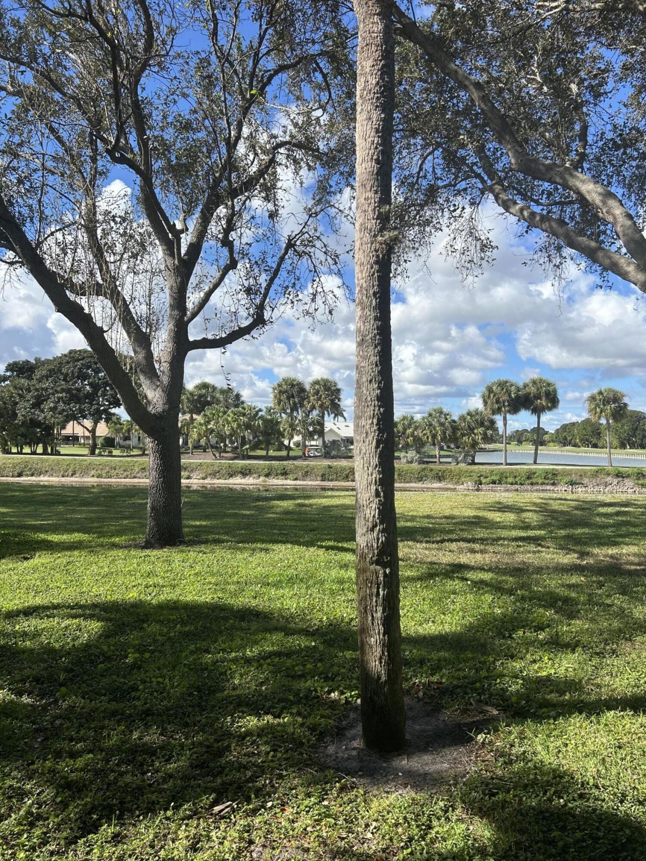 2900 SW 22nd Circle, Unit 221d, Delray Beach, FL 33445 Photo