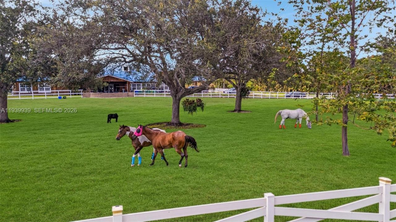 12851 Luray Rd , Southwest Ranches, FL 33330 Photo