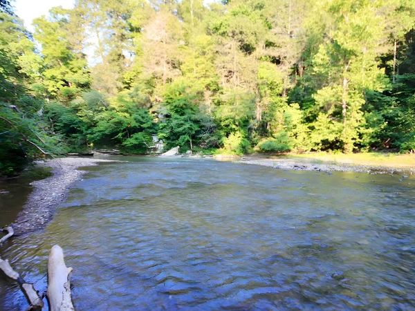 217 Saw Mill Lane, Duff, TN 37729