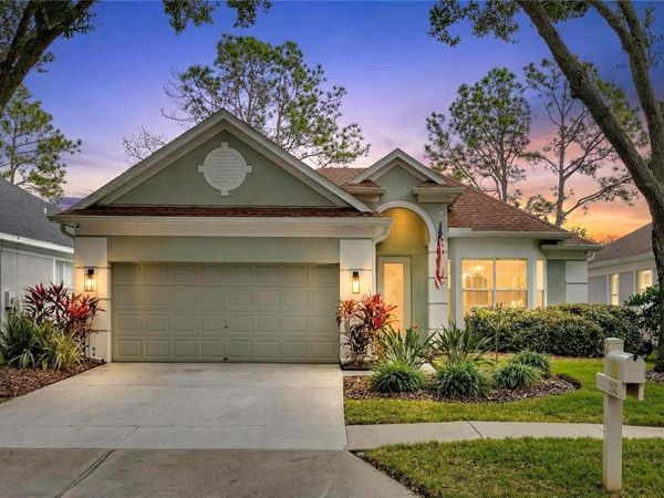 9308 HUNTINGTON PARK WAY, TAMPA, FL 33647