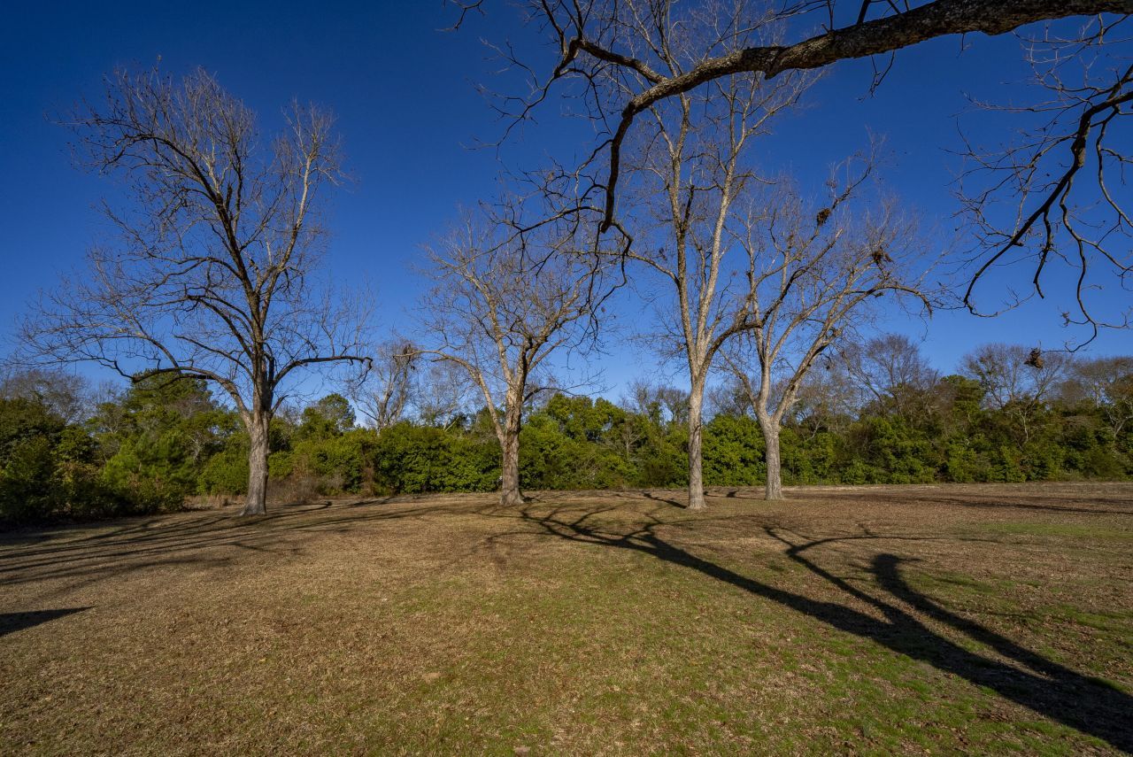 224 Walnut Street Photo 16