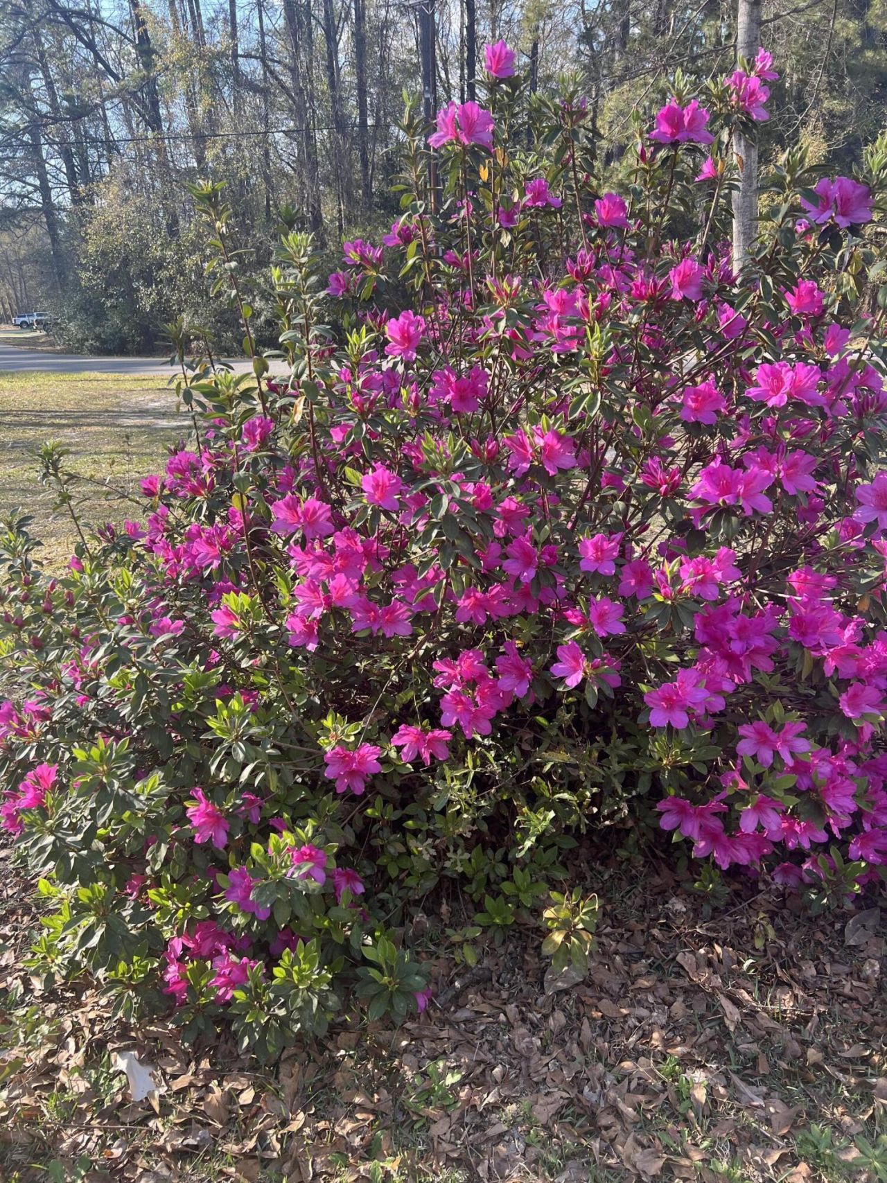 431 Otis Road Photo 30