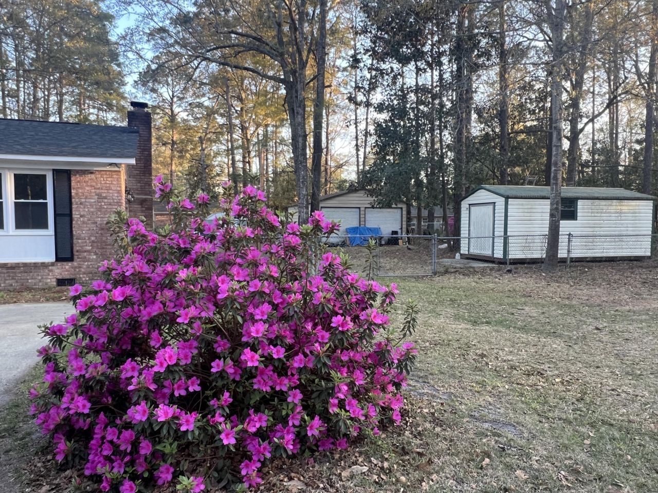 431 Otis Road Photo 8