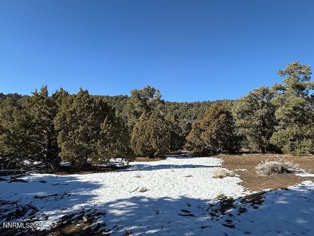 1410 Scorpion Road, Reno, NV 89521 Photo