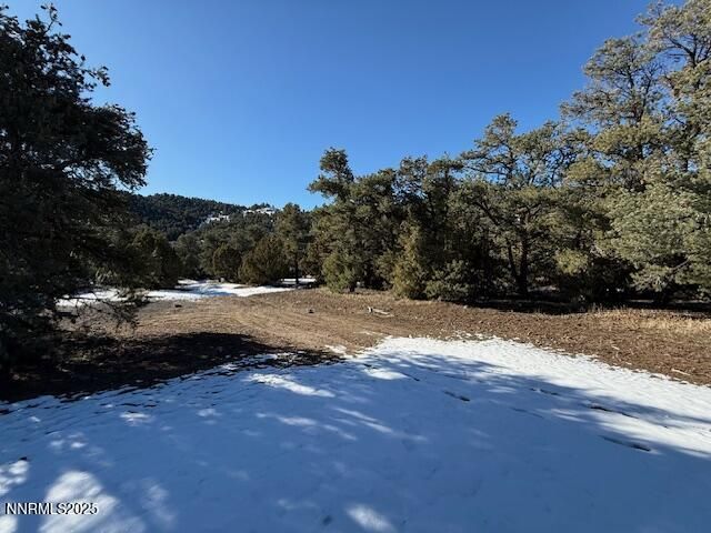 1410 Scorpion Road, Reno, NV 89521 Photo