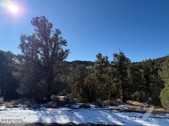 1410 Scorpion Road, Reno, NV 89521 Photo