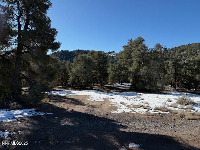 1410 Scorpion Road, Reno, NV 89521 Photo