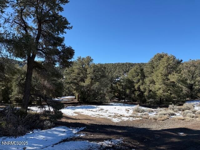 1410 Scorpion Road, Reno, NV 89521 Photo