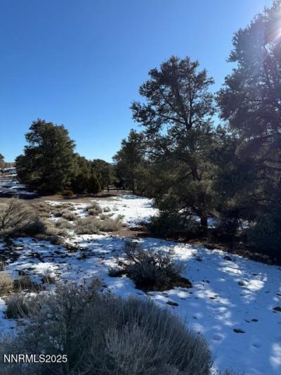 1410 Scorpion Road, Reno, NV 89521 Photo