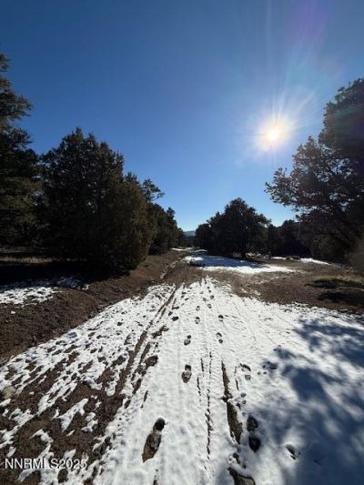 1410 Scorpion Road, Reno, NV 89521 Photo