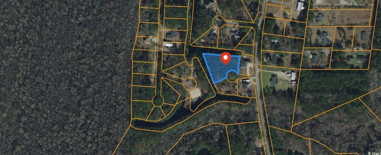 8453 Highway 814 Photo 4