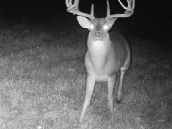 TBD CR 2737, Naples, TX 75568