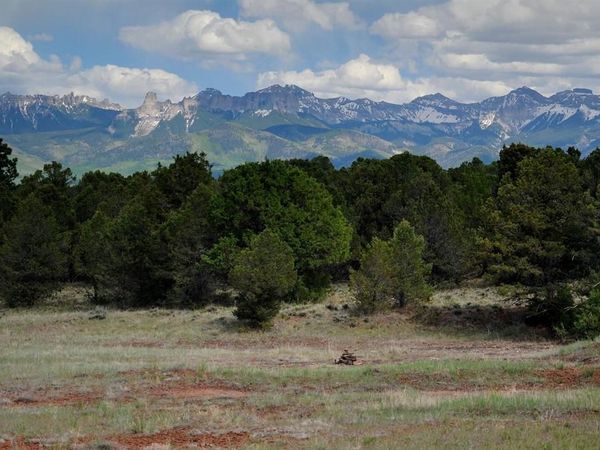 TBD Ponderosa Drive, Ridgway, CO 81432