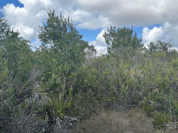 0 County Rd 54, Kathleen, FL 33849