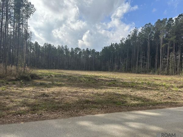 Lot 37 Nesom Rd, Denham Springs, LA 70453