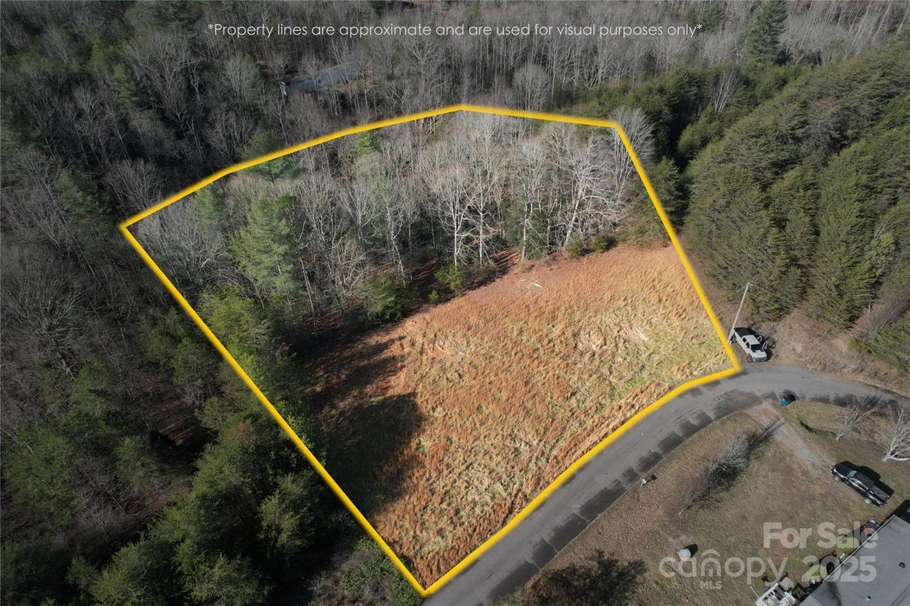 00 Virginia Ridge, Connelly Springs, NC 28612 Main Photo