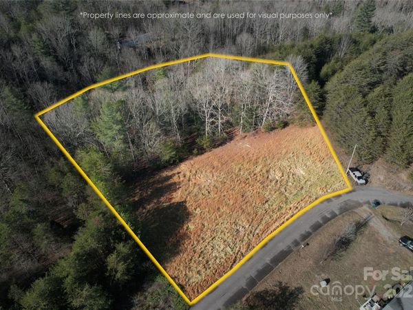 00 Virginia Ridge, Connelly Springs, NC 28612