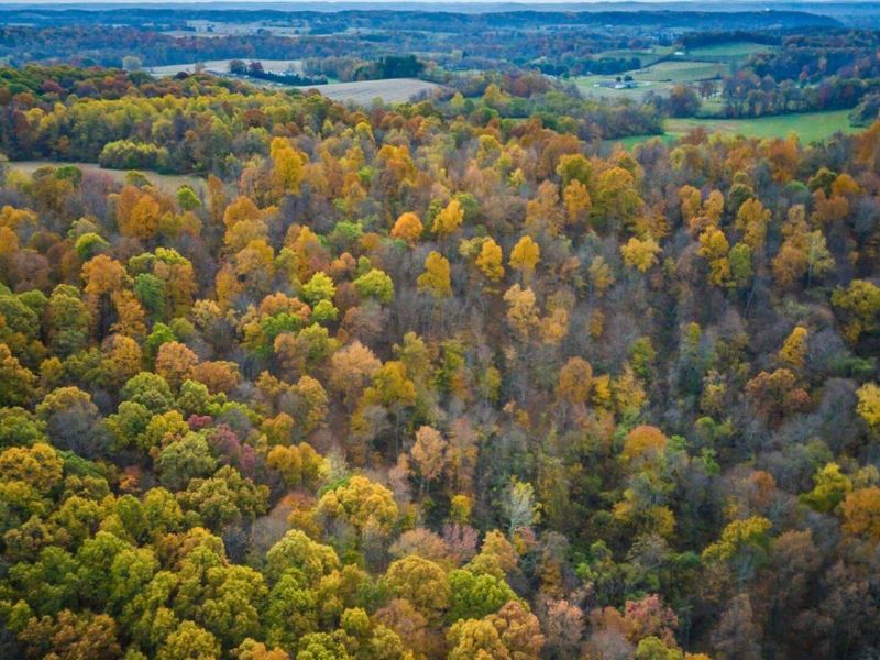 5198 Mckinney Crossing NE, Newark, OH 43055 Photo 12