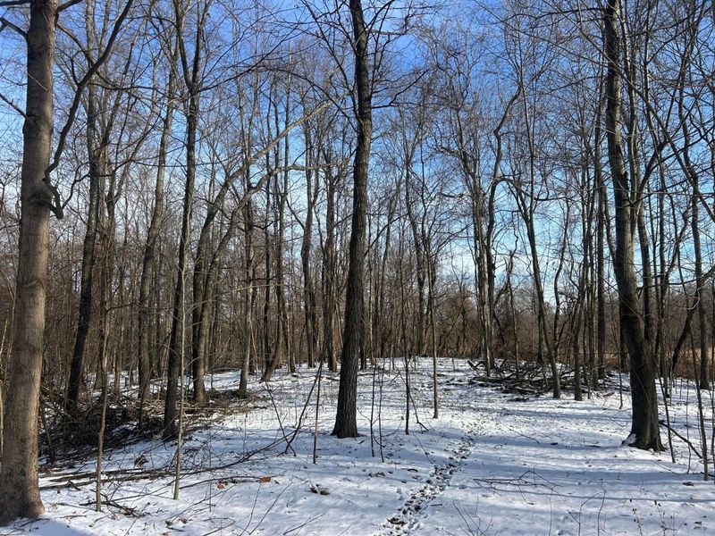 5198 Mckinney Crossing NE, Newark, OH 43055 Photo 32