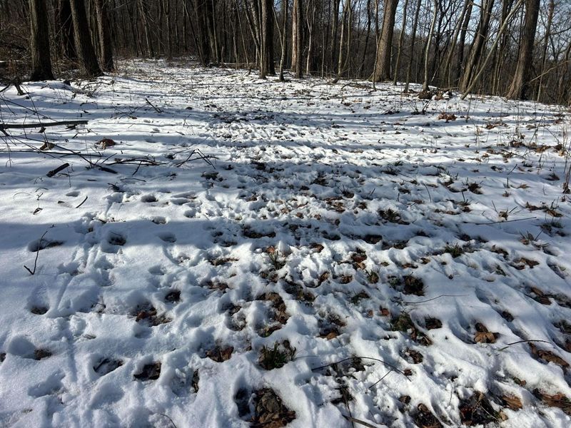 5198 Mckinney Crossing NE, Newark, OH 43055 Photo 33