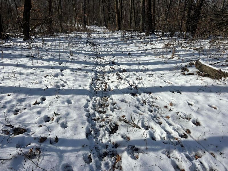 5198 Mckinney Crossing NE, Newark, OH 43055 Photo 34