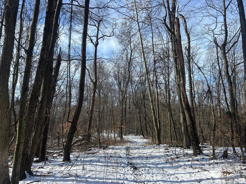 5198 Mckinney Crossing NE, Newark, OH 43055 Photo 35