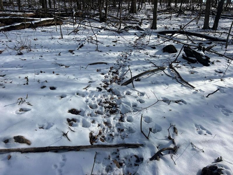 5198 Mckinney Crossing NE, Newark, OH 43055 Photo 36