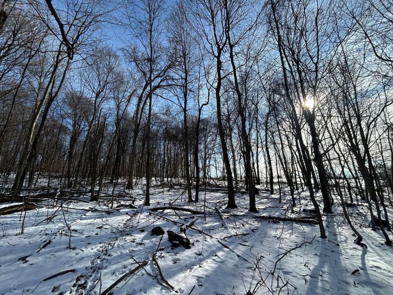 5198 Mckinney Crossing NE, Newark, OH 43055 Photo 37