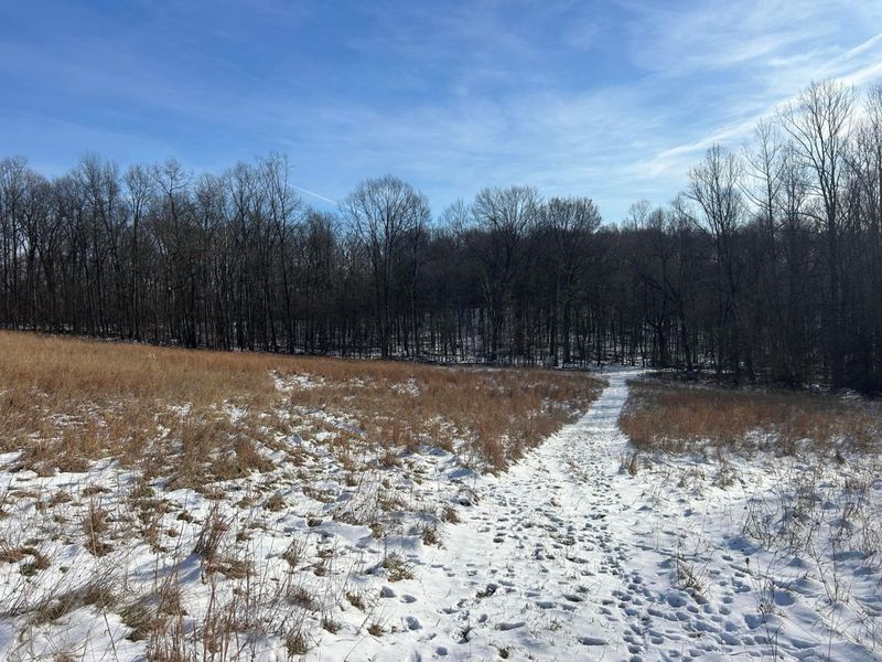 5198 Mckinney Crossing NE, Newark, OH 43055 Photo 39