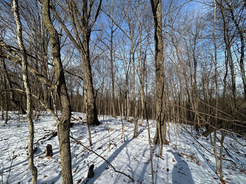 5198 Mckinney Crossing NE, Newark, OH 43055 Photo 40