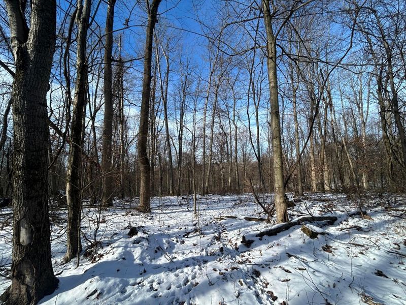 5198 Mckinney Crossing NE, Newark, OH 43055 Photo 41