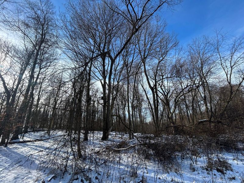 5198 Mckinney Crossing NE, Newark, OH 43055 Photo 42