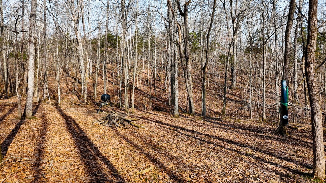 0000 Baxter Ridge Road, Lawrenceburg, KY 40342 Main Photo