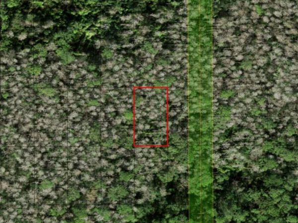 0 HOLOPAW GROVES RD, St. Cloud, FL 34772